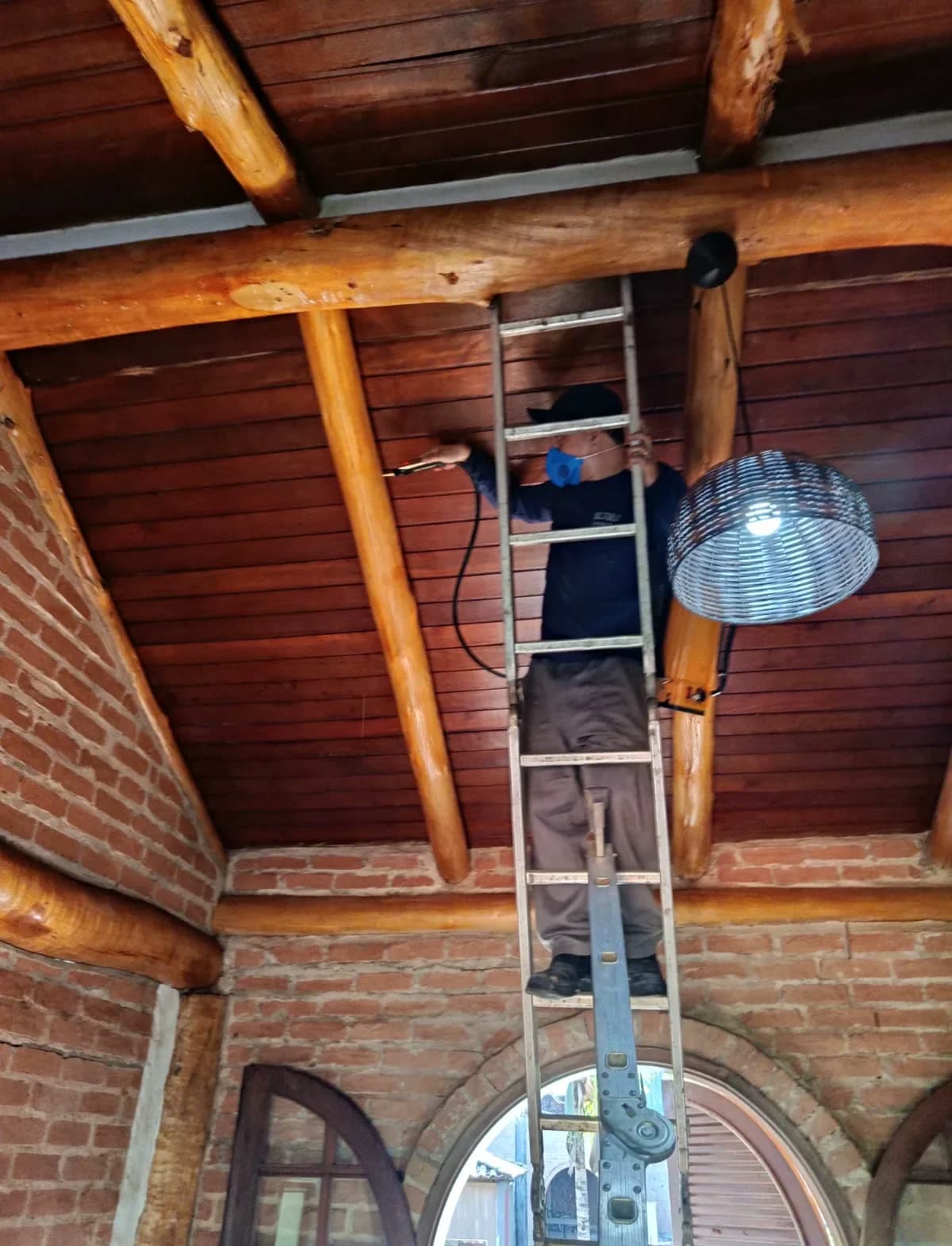 Controle de escorpião no Residencial Baldassari Franca SP