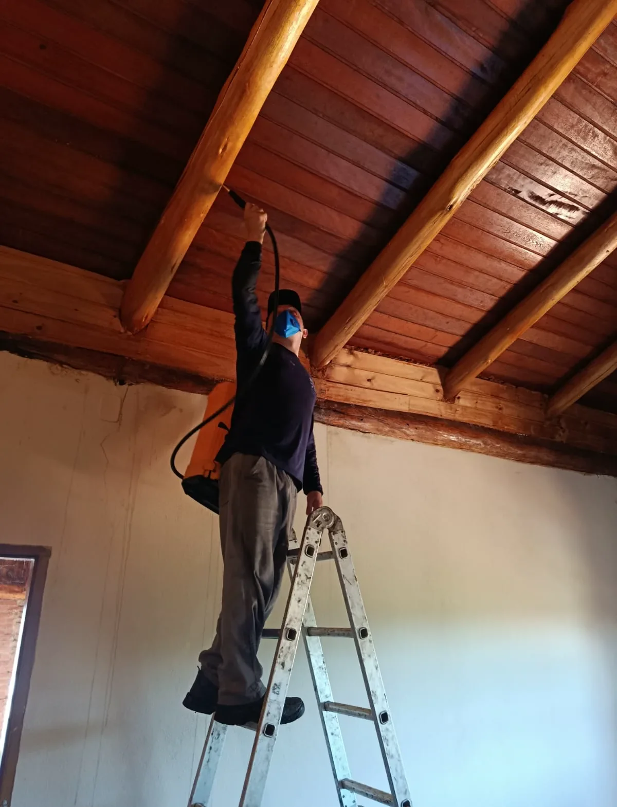 Dedetização profissional no Centro de Franca SP — Sentinela Saúde Ambiental